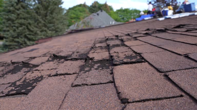 Best Green or Eco-Friendly Roofing Solutions  in Concord, MO