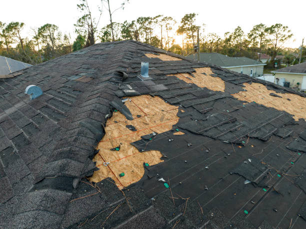 Best Storm Damage Roof Repair  in Concord, MO